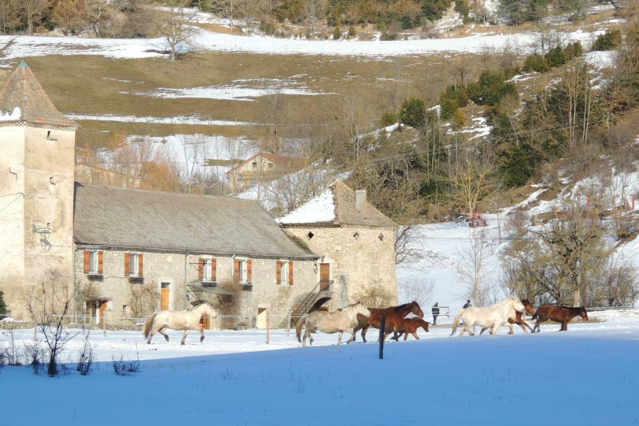 Le Colombier Bed & Breakfast Glandage Dış mekan fotoğraf